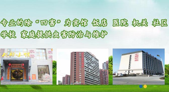 大理殺蟲公司告訴你殺死蟑螂的方法，房屋要定期清理